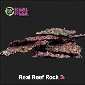 리얼 리프 쉘프 락 1kg Real Reef