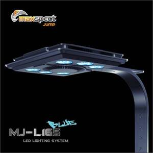 맥스팩트 LED 라이트 BLUE [MJ-L165]